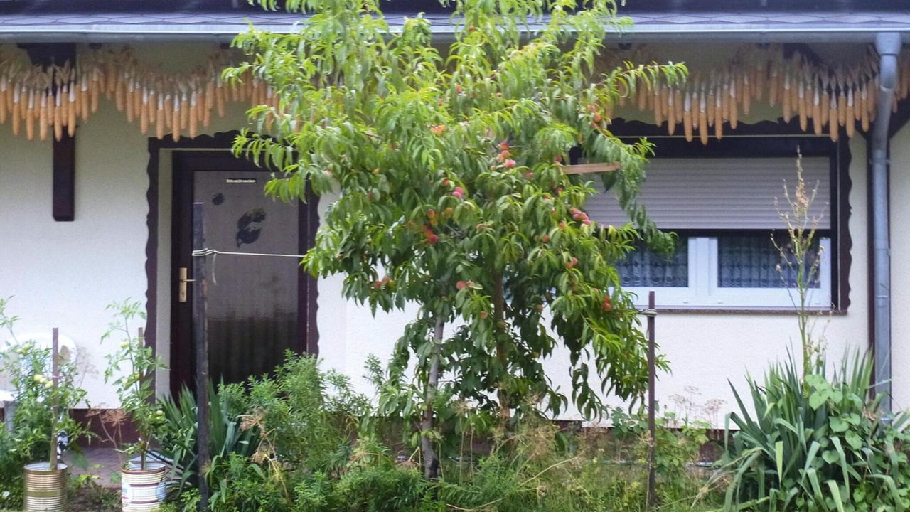 ExteriorSummer ExteriorSummer